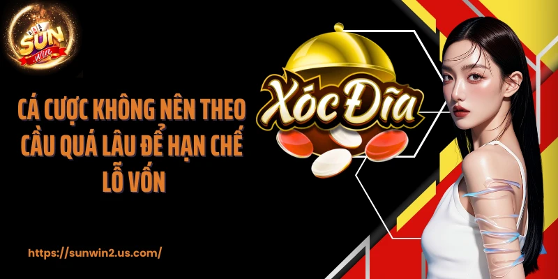 Cá cược không nên theo cầu quá lâu để hạn chế lỗ vốn